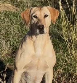 Wicked